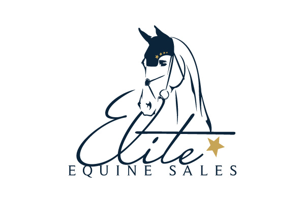 Elite Equine Sales