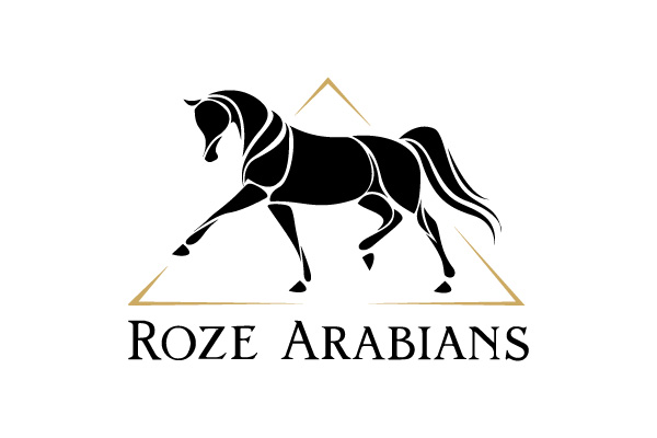 Roze Arabians